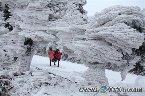 中国衡阳新闻网 www.e0734.com