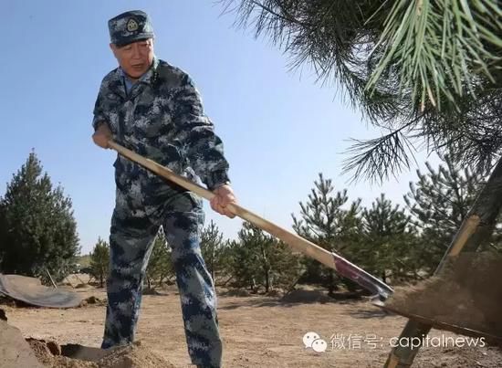 司令员马晓天在植树