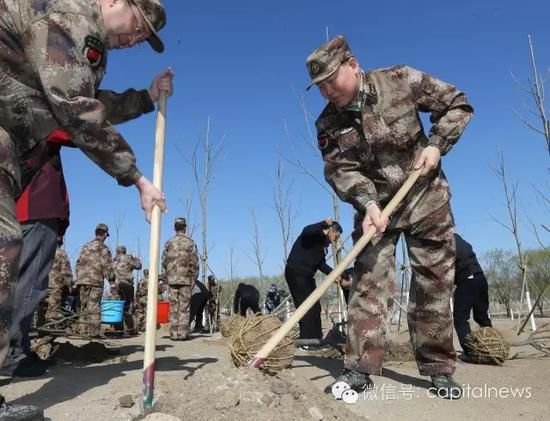 军委政治工作部主任张阳在植树（右一）