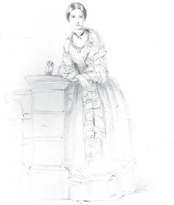 护理先驱南丁格尔：“提灯女士”还是“复仇天使”？