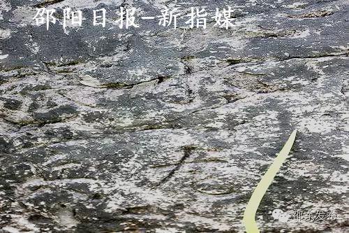 墓碑上斑驳可见“孙：小龙、小虎”字样 摄/李社庆