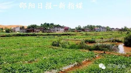微信之父张小龙——祖屋前的田园风光 摄/刘佑祥