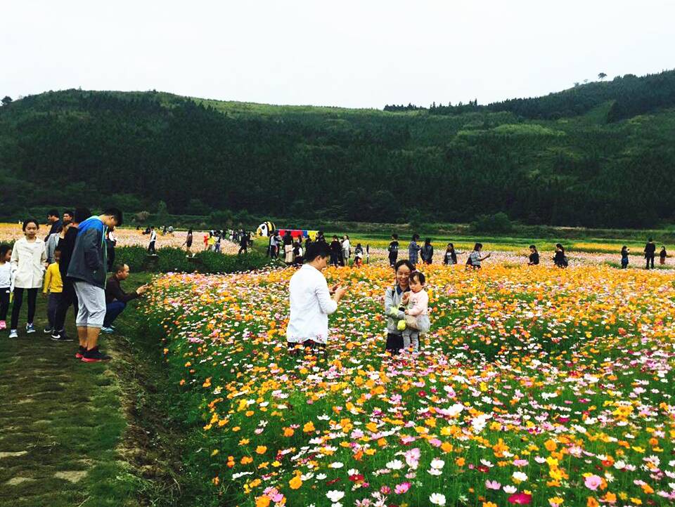 桂阳县解放村神农蜂生态旅游园 图片来源:桂阳县文广新局