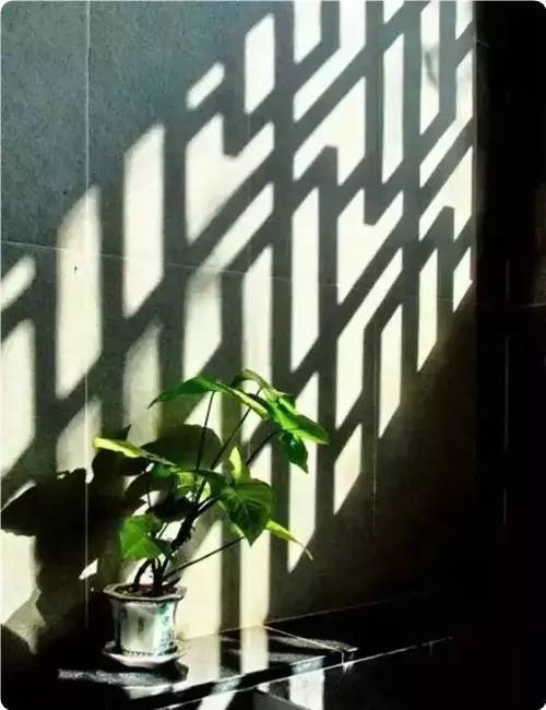 一句话记住愁死人的多音字,不得不服_中国衡阳