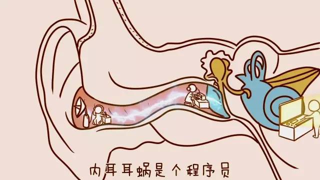 几个月可以做内耳前庭训练 05140003mqr7.jpg