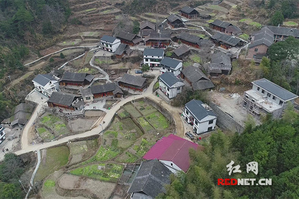 上金乡人口(3)