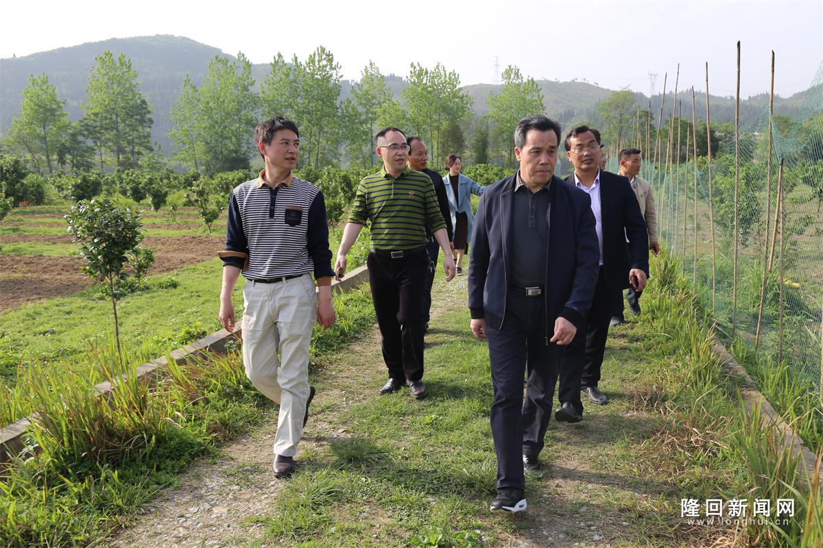 邓广雁到隆回县三阁司镇中洲村调研指导脱贫攻坚工作